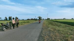 WhatsApp Image 2022-04-15 at 03.31.34