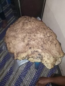 WhatsApp Image 2022-10-13 at 21.31.32