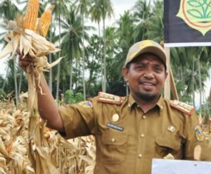 Propinsi Sulteng Urutan Ke 9 Penyumbang Surplus Beras Nasiona