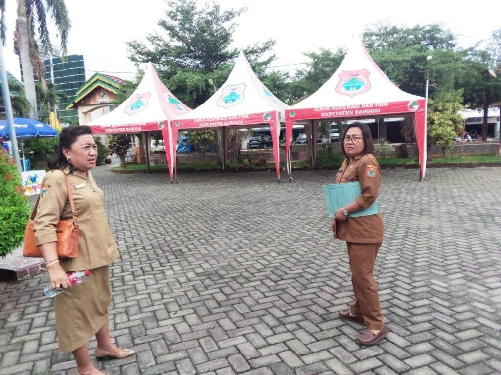 WhatsApp Image 2023-03-22 at 05.19.26