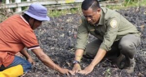 WhatsApp Image 2023-11-16 at 06.05.26