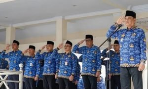 WhatsApp Image 2024-01-18 at 05.40.44