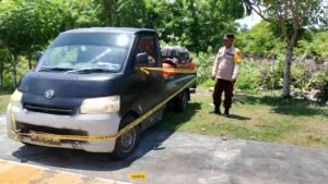 WhatsApp Image 2024-02-27 at 17.17.38