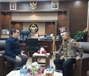 WhatsApp Image 2024-02-29 at 15.45.12