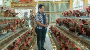 WhatsApp Image 2024-04-03 at 12.02.13