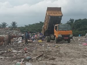 WhatsApp Image 2024-04-24 at 10.13.41