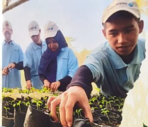 DSLNG Fasilitasi Remaja Wujudkan Pertanian Berkelanjutan di Banggai