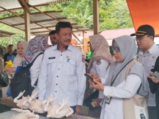 WhatsApp Image 2025-01-23 at 17.22.51