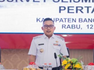 WhatsApp Image 2025-11-12 at 20.33.36