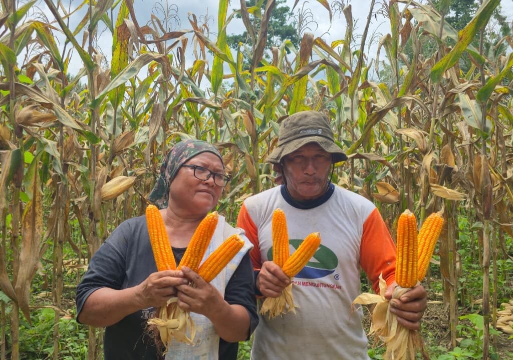 WhatsApp Image 2026-02-20 at 11.28.10