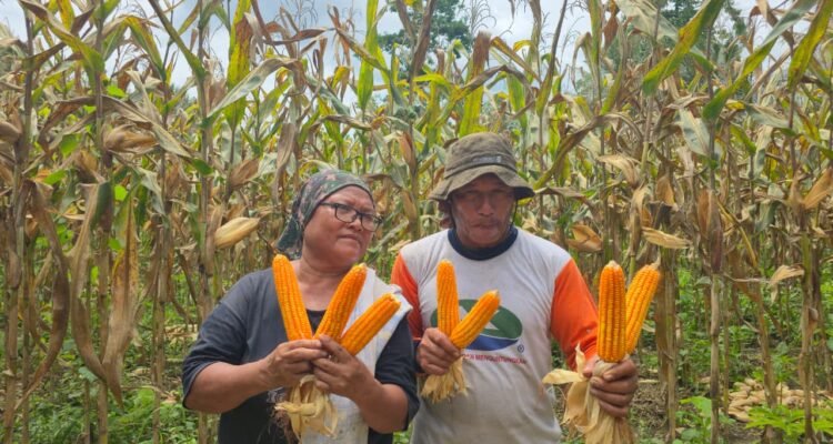 WhatsApp Image 2026-02-20 at 11.28.10